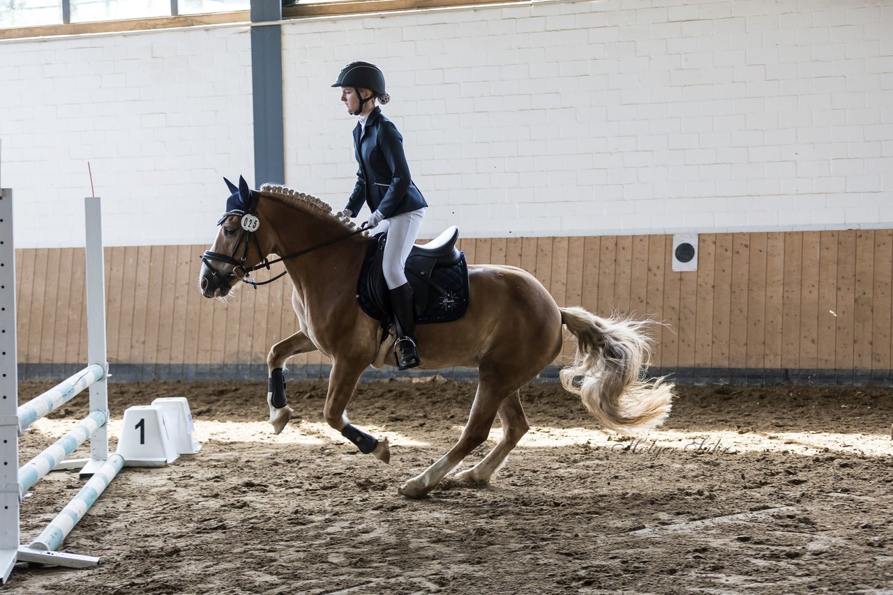 Bild 33 - Pony Akademie Turnier